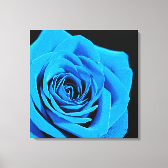 Impressão Em Tela Belo rosa azul (Frente)