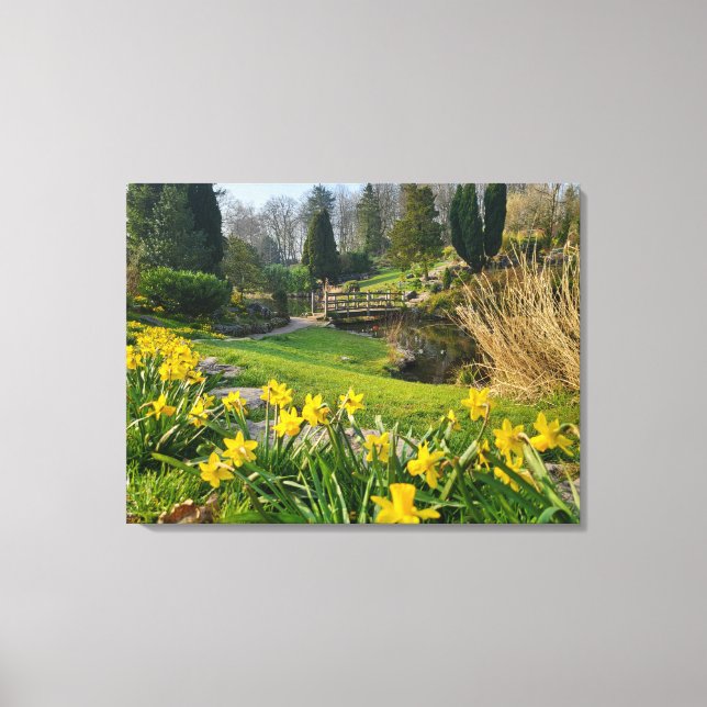 Impressão Em Tela Belos narcisos de primavera (Frente)