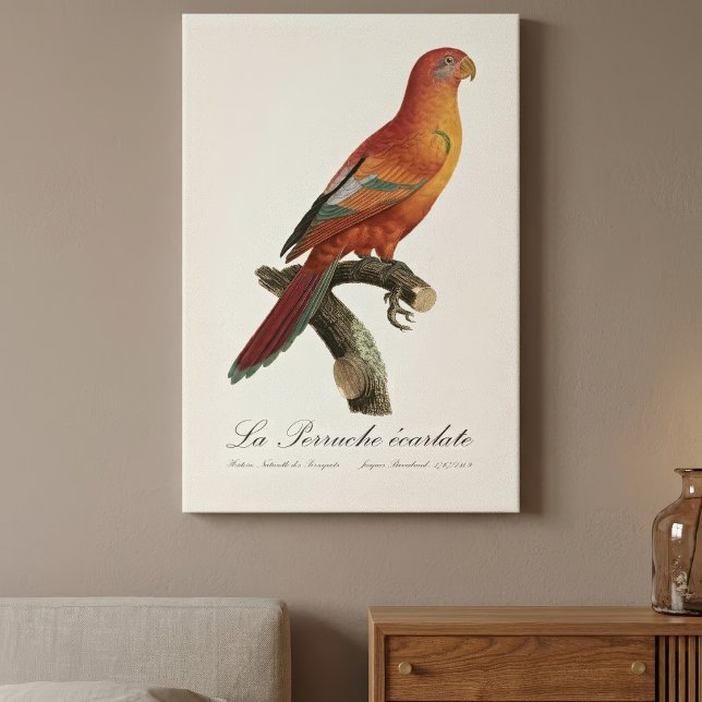 Impressão Em Tela Berlato de Perruche (Red Lory or Eos Bornea, Trichoglossus borneus. Canvas Print)