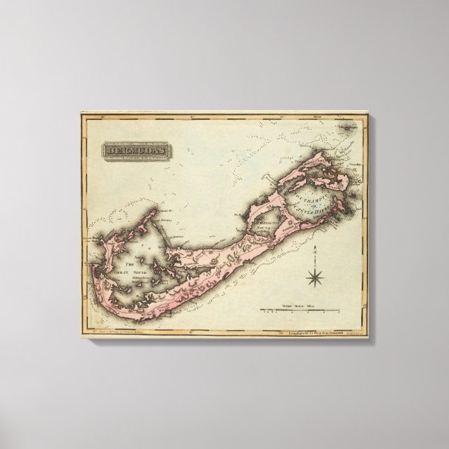 Impressão Em Tela Bermudas (Frente)