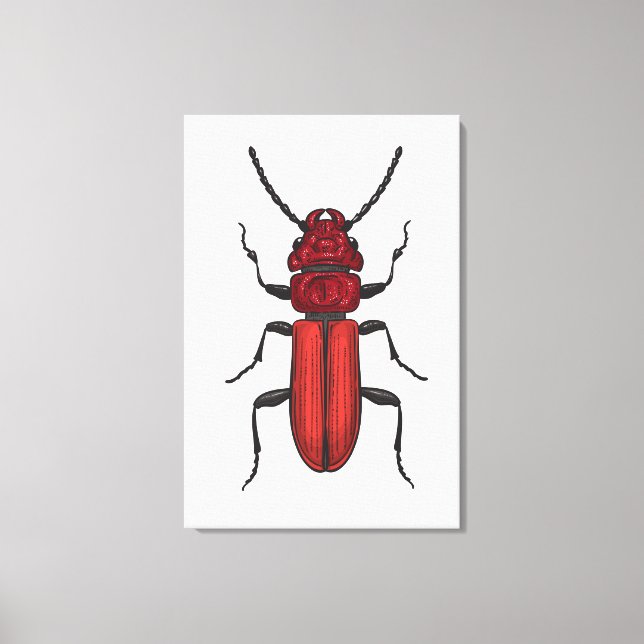 Impressão Em Tela Besouro vermelho (Frente)