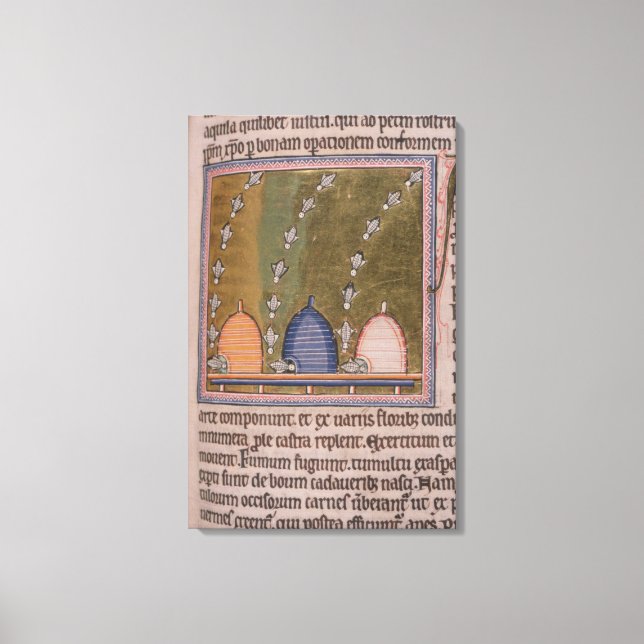 Impressão Em Tela Bestiário Três linhas curvas (Frente)