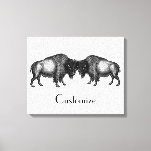 Impressão Em Tela Big Bison Buffalo Thunder_Cove (Frente)