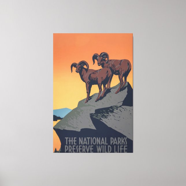 Impressão Em Tela Bighorn Sheep Sunset Poster (Frente)