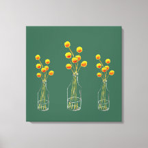 Billy Button, flores amarelas felizes da Austrália