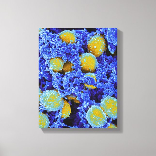 Impressão Em Tela biologia microbiologia abstrato art poster ou canv (Frente)