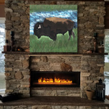 Bison