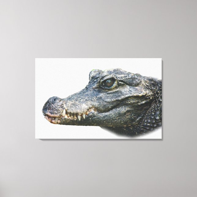 Impressão Em Tela Bissig! (Frente)