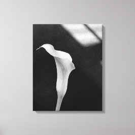 Impressão Em Tela Black and White Calla Lily
