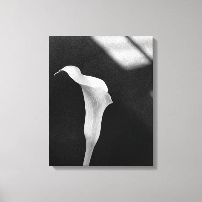 Impressão Em Tela Black and White Calla Lily (Frente)