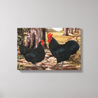 Impressão Em Tela Black Australorp Rooster and Hen in Wooded Setting