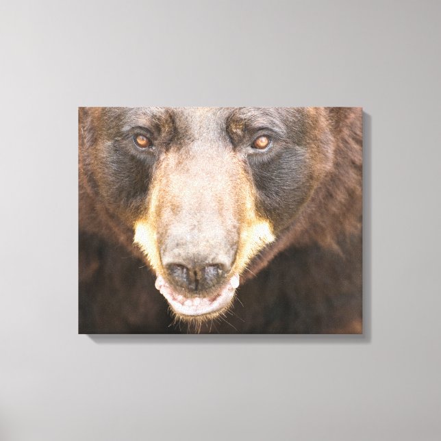 Impressão Em Tela Black Bear, Michigan (Frente)