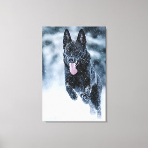 Impressão Em Tela Black German Shepherd in snow Duvet Cover