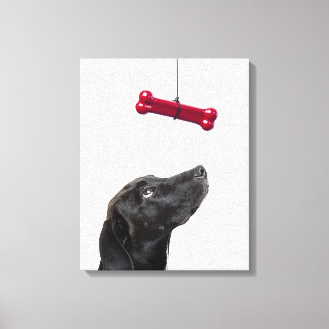 Impressão Em Tela Black lab misturou cachorro com osso vermelho de c (Frente)