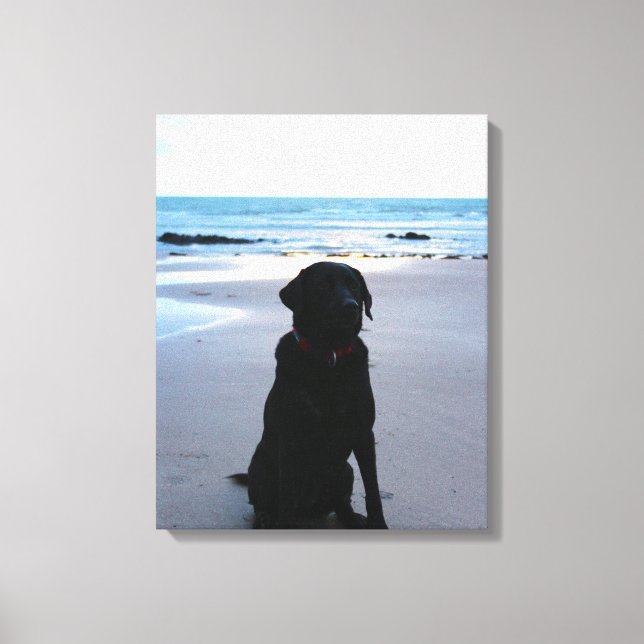 Impressão Em Tela Black Labrador na praia (Frente)
