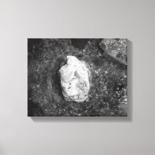 Impressão Em Tela Black & White Rock in the Lake Water 11x14