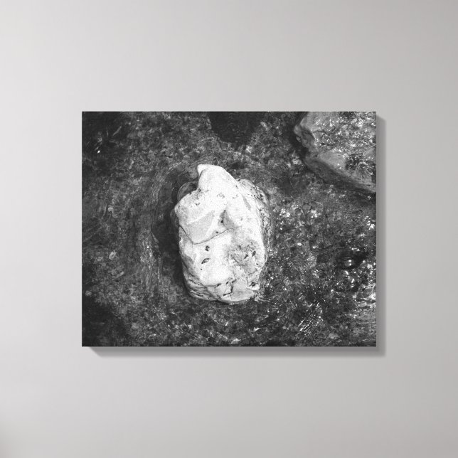 Impressão Em Tela Black & White Rock in the Lake Water 16x20 (Frente)