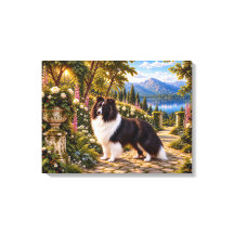 Blackberries, Shetland Sheepdog