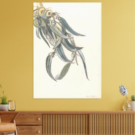 Impressão Em Tela Bloeiende tak van een eucalyptus