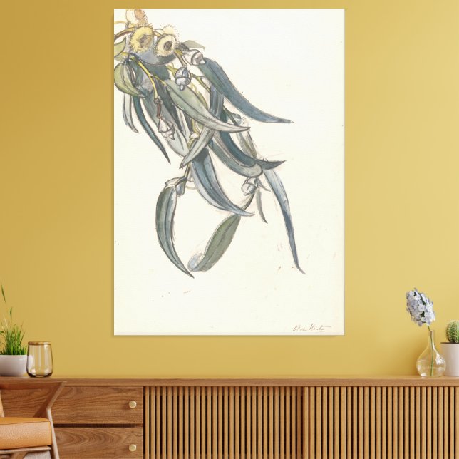 Impressão Em Tela Bloeiende tak van een eucalyptus (Insitu(Sala de estar))