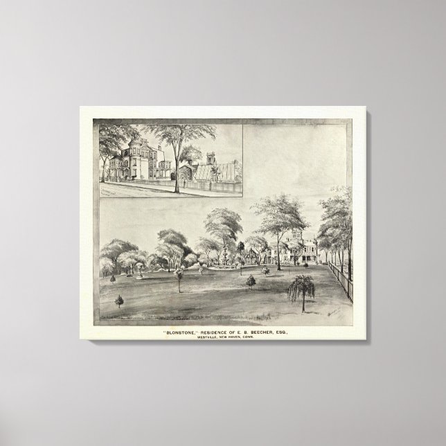 Impressão Em Tela Blonstone, Westville (Frente)