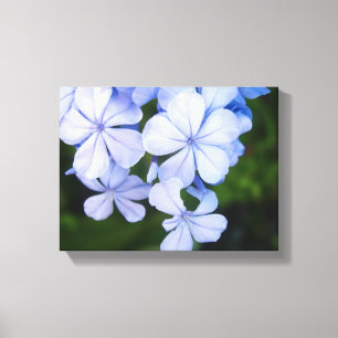 Impressão Em Tela Blue Floral Bokeh