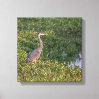 Impressão Em Tela Blue Heron