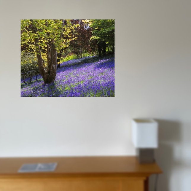 Impressão Em Tela Bluebells (Criador carregado)