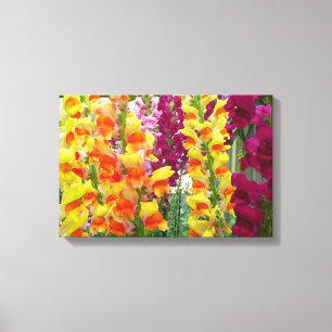 Impressão Em Tela Boca de Leão Floral Colorida