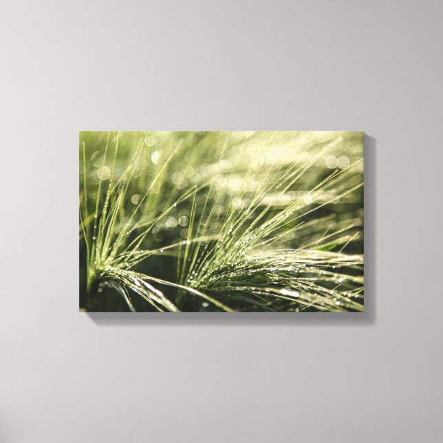 Impressão Em Tela Bokeh de Dewdrops (Frente)