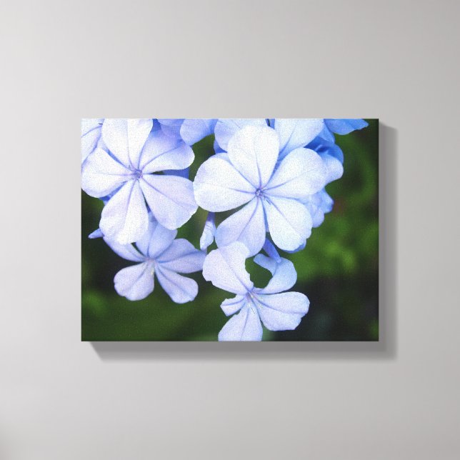 Impressão Em Tela Bokeh Floral Azul (Frente)