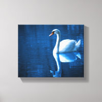 Bonito cisne branco flutuando num lago azul