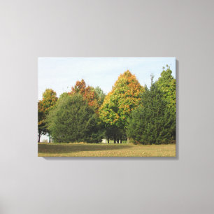 Impressão Em Tela Bonito queda deixa fotografia da arte de Wisconsin