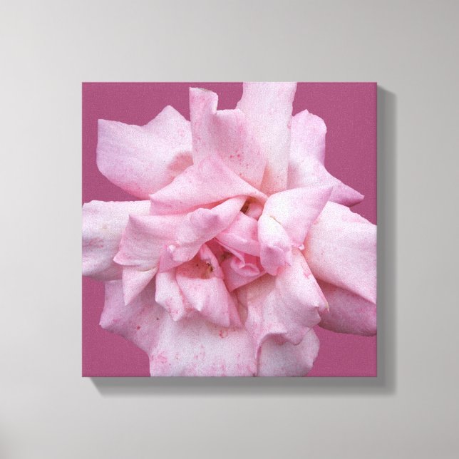 Impressão Em Tela Bonito rosa rosa linda arte moderna e moderna (Frente)