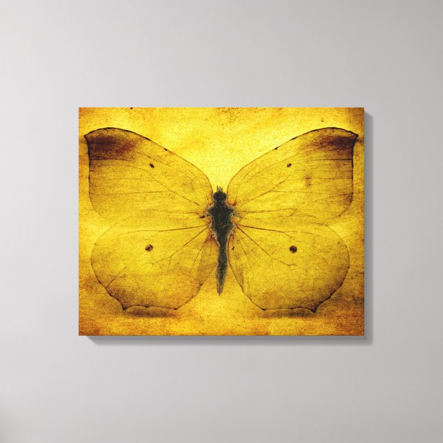 Impressão Em Tela Borboleta amarela vítrea (Frente)