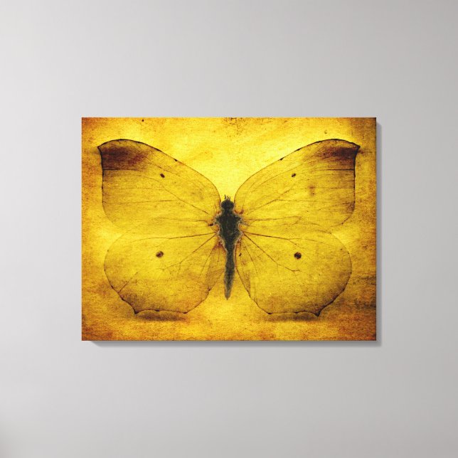 Impressão Em Tela Borboleta amarela vítrea (Frente)