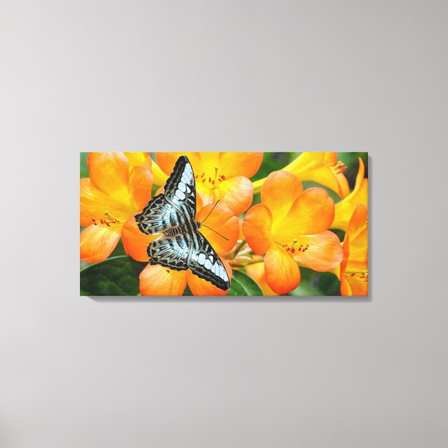 Impressão Em Tela Borboleta azul com Rhododendron tropical (Frente)