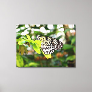 Impressão Em Tela Borboleta de papel do papagaio