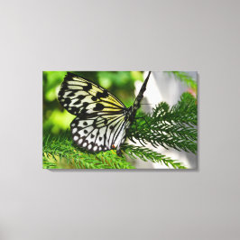 Impressão Em Tela Borboleta de pipa de papel