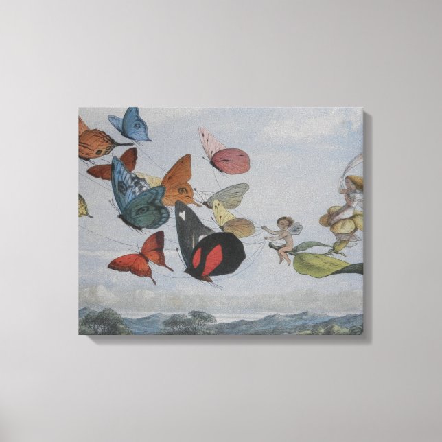 Impressão Em Tela Borboleta e Borboletas-de-Fada Rainha (Frente)