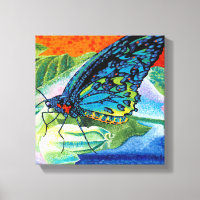 Borboleta em posição II