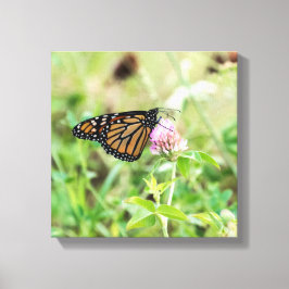 Impressão Em Tela Borboleta Monarca