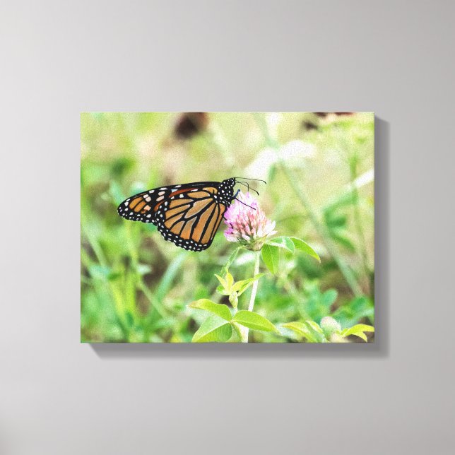 Impressão Em Tela Borboleta Monarca (Frente)