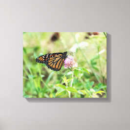 Impressão Em Tela Borboleta Monarca
