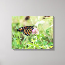 Impressão Em Tela Borboleta Monarca