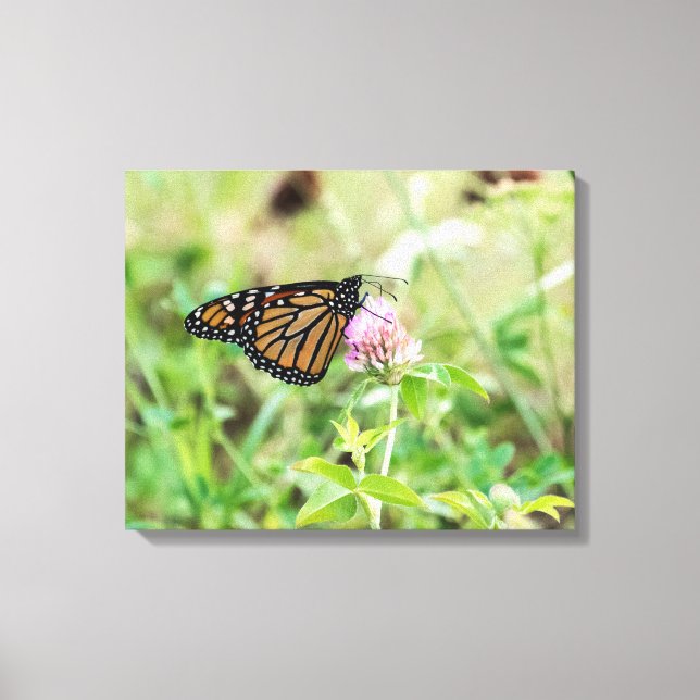 Impressão Em Tela Borboleta Monarca (Frente)