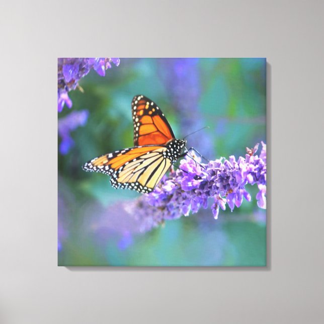 Impressão Em Tela Borboleta Monarca na Flor Lilás Roxo (Frente)