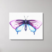 borboleta rabo de andorinha da videira da Califórn