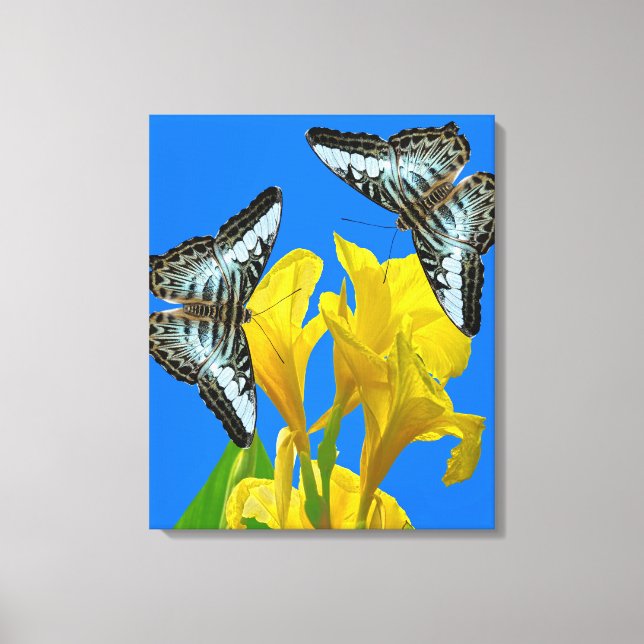 Impressão Em Tela Borboletas azuis da Malásia (Frente)