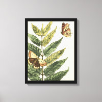 Borboletas e folhas com quadro preto